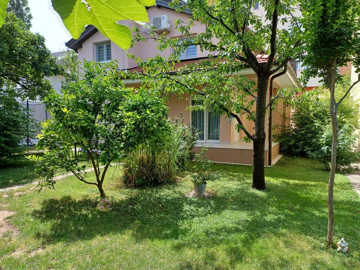 Villa Tamara With Garden And River View - Free Private Parking - Garage Mostar Bagian luar foto